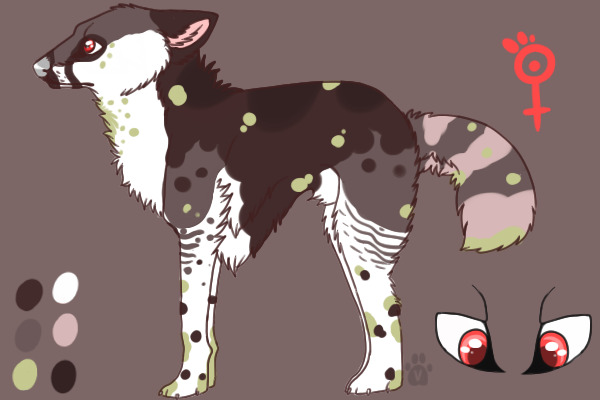 Adopt