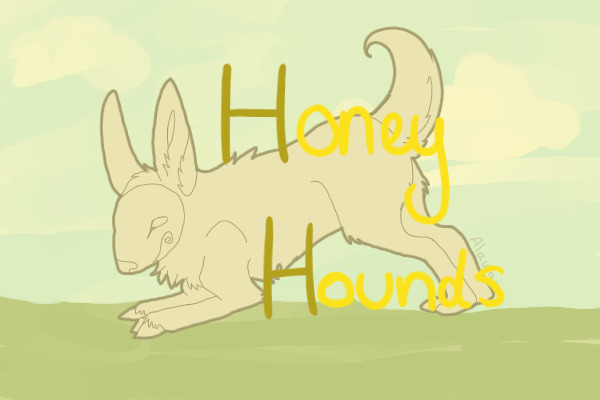 Honey Hound Adopts