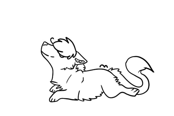 Gift for Teal