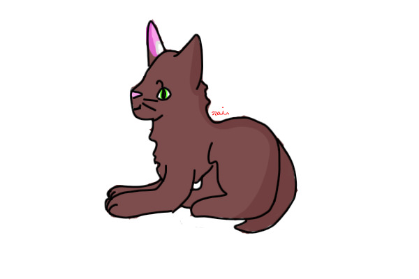 my entry c: