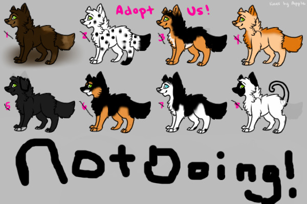 Mix Dog Breed Litter : DONE!