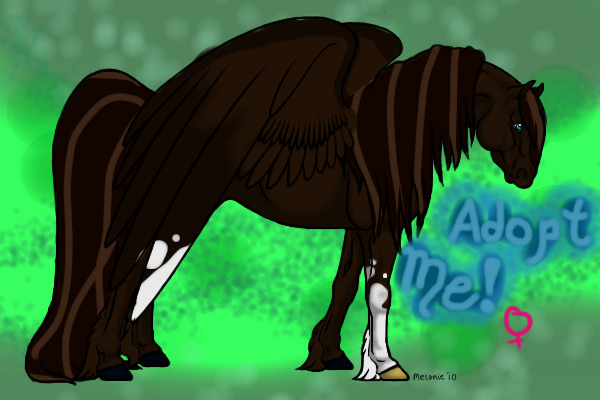 AAA #14: Liver Chestnut Mare