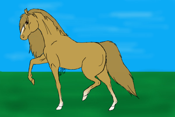 Golden For Fjord Horse Lover