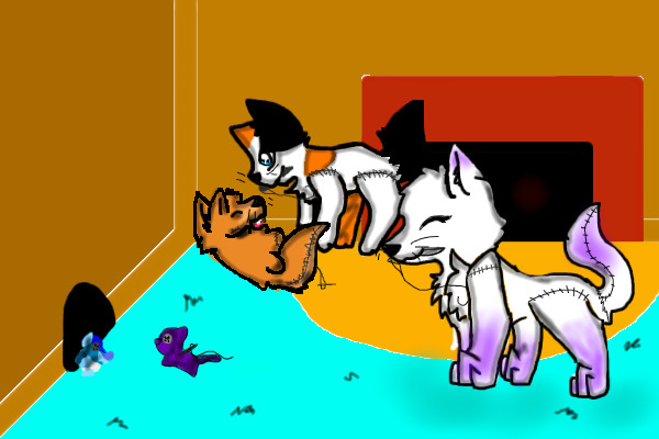 Have fun, little kits!