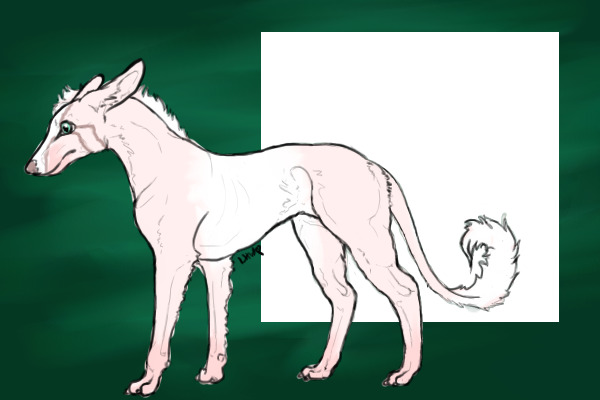 Cremello Tobanio Entry