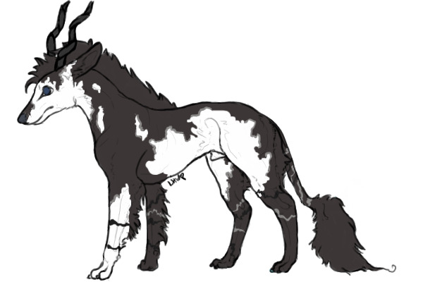 Nannuk entry #1 - Black Overo