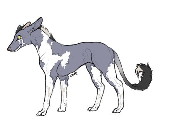 Nannuk entry #2 - Blue Roan Paint