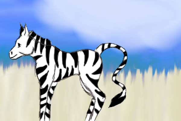 Zebra on the African Plains
