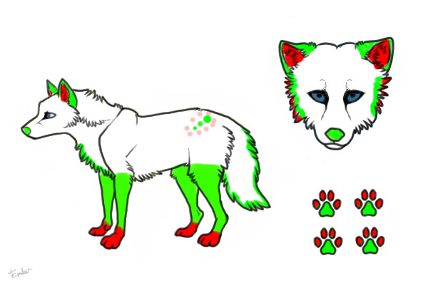 Contest Entry