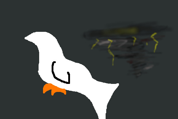 For the tragety in Oklahoma.