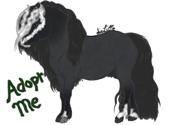 CTS: Badger-faced Blue Roan Stallion -- UFA