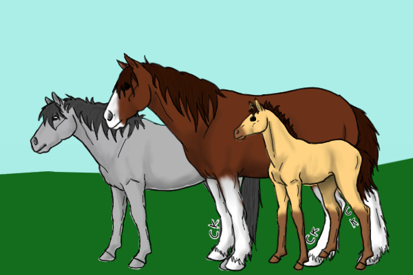 Random horse friends