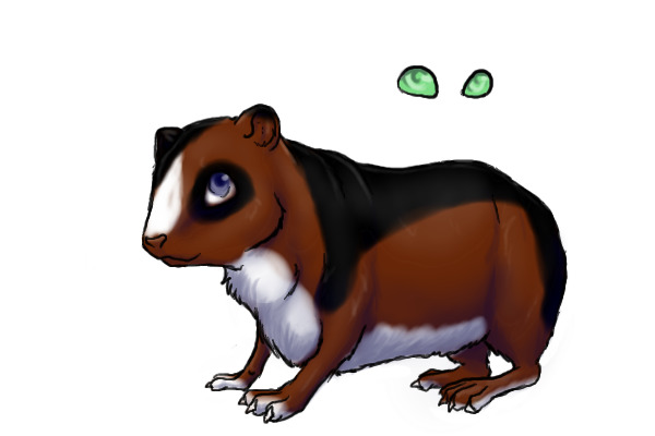 Guinea pig.hamster ~ editable