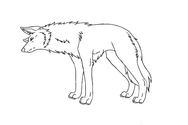 Wolf sketch-thingy