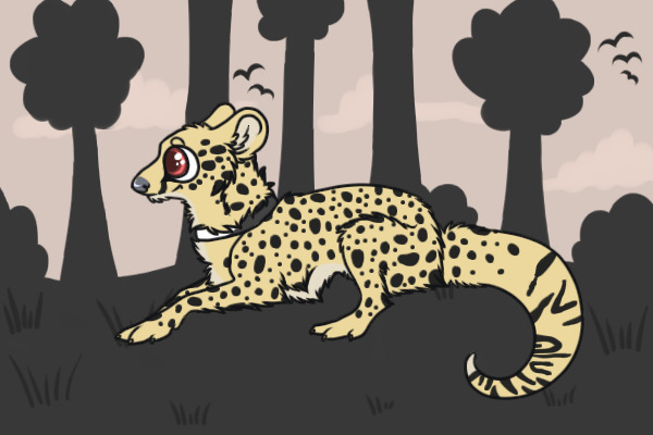 SpottyBlack - Teen