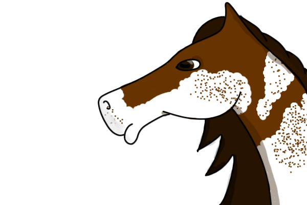 Sabino horse