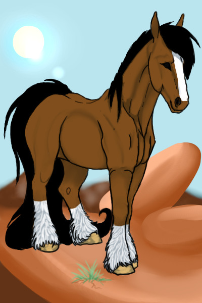 Entry For Red Desert Equids Artist Contest,NO STEALING