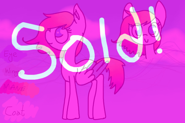 pony #12