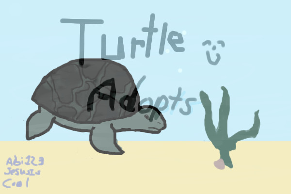 Sunny Days Sea Turtle Adopts (Please Move)