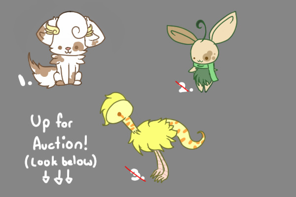 3 Charas Up for Auction