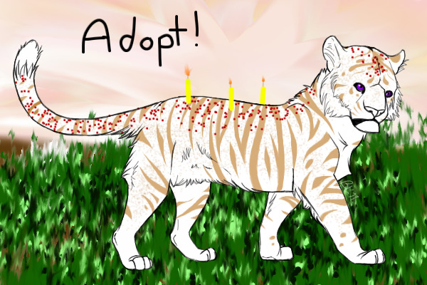 Adopt a Cake Tiger
