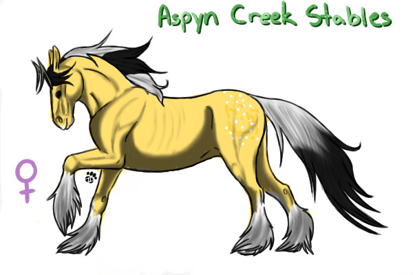 Artist Entry for Aspyn