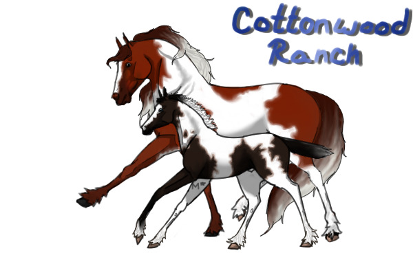 Cottonwood Wild Horse Ranch Adoptables -TOPIC CLOSED-