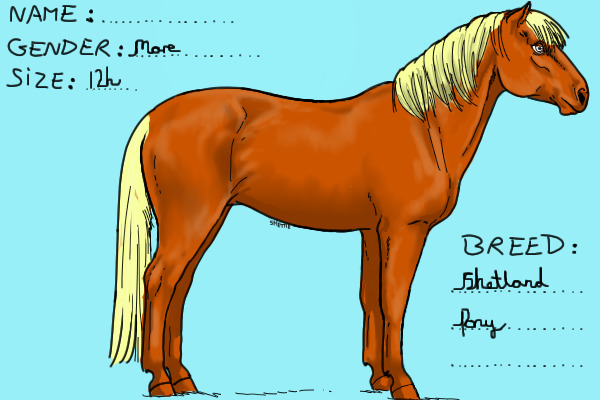 Shettie Ref Sheet WIP