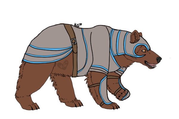 bear armor