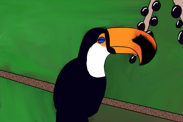 Toucan