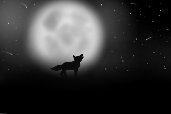 Wolf and Moon