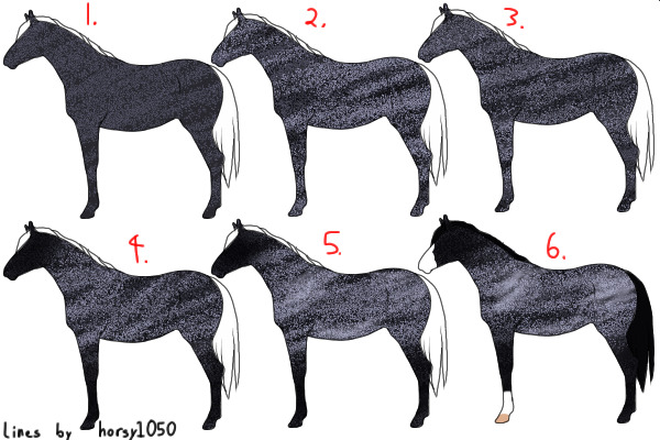 Blue Roan