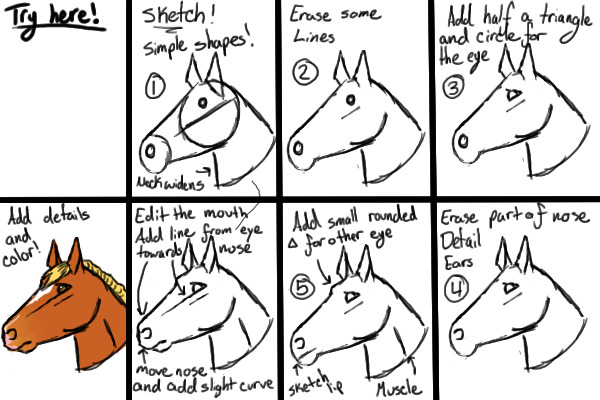 Simple horse head tutorial