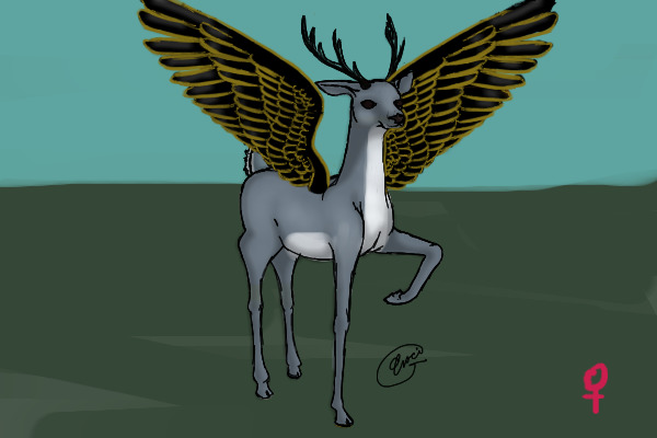 Pretty deer color-in-experiment