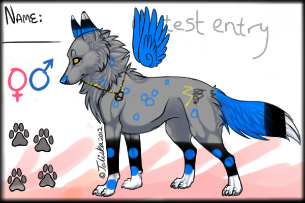 Contest Entry