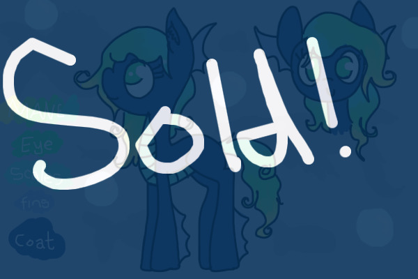 Pony #16