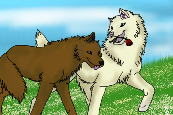 Dog Couple ♥