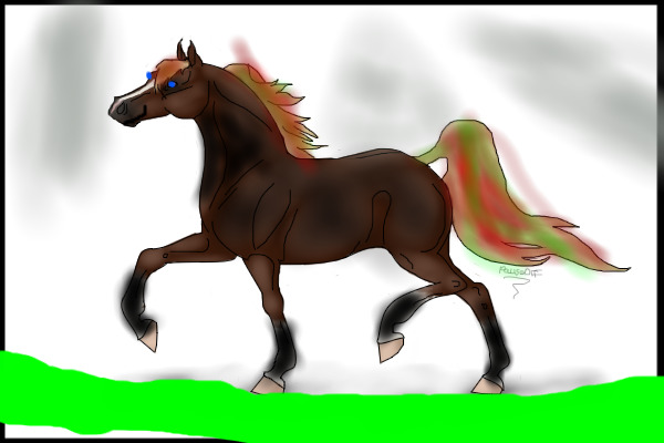 A Horse D: