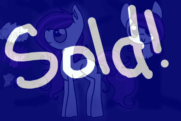 Pony #17
