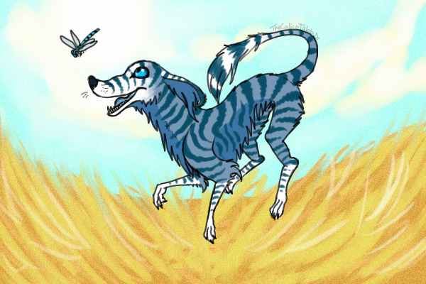 Dingo