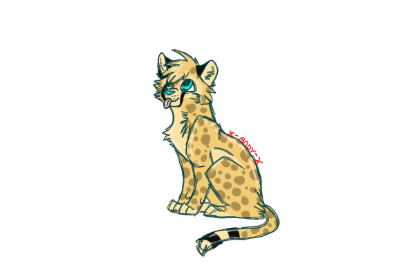 cheeta house cat?