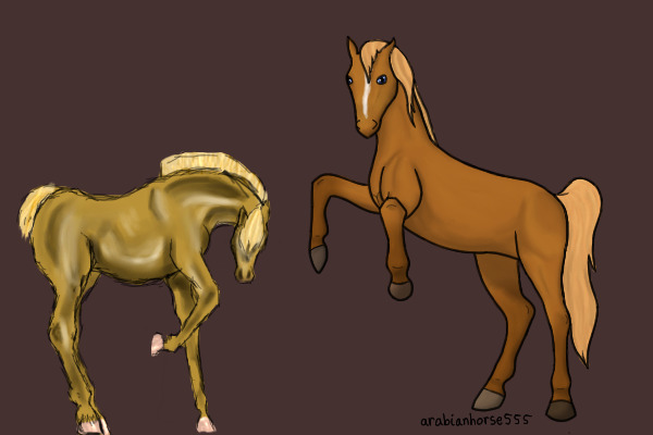 Collab