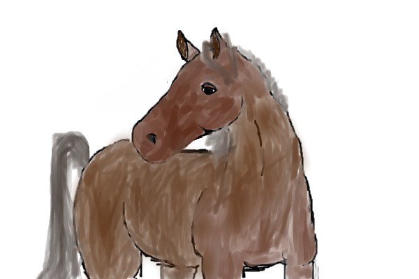 A horse