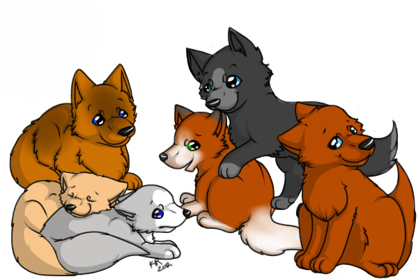 Puppies Playing