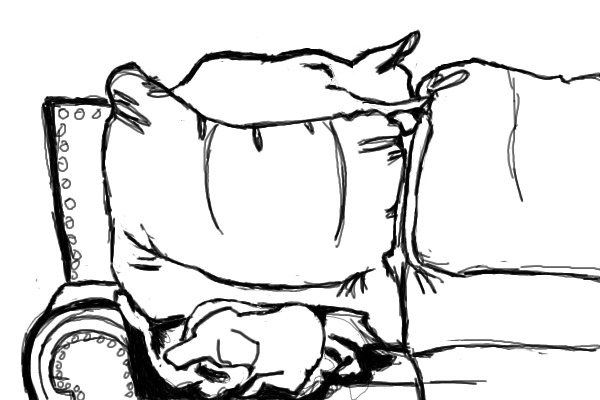 Dogs On Couch