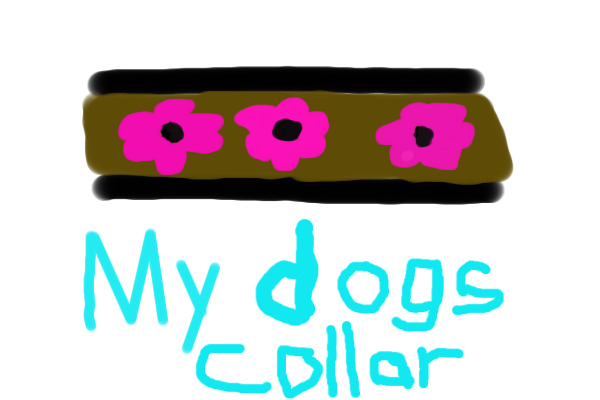 My dogs collar
