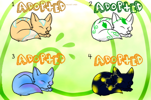 More foxes up for adoption!