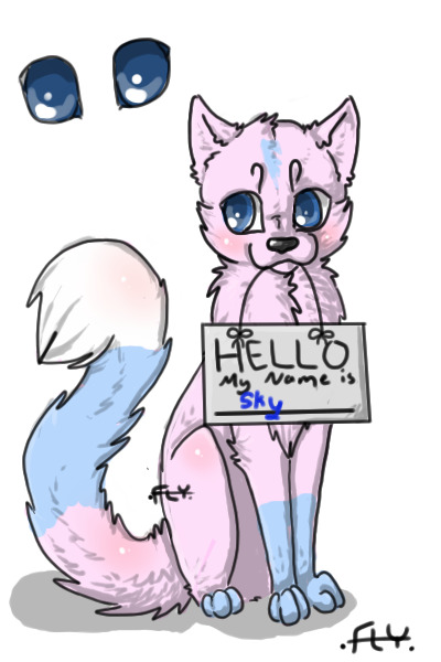 Hello, my name is adorable!