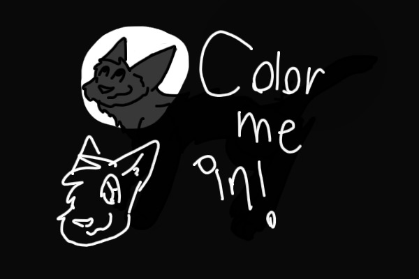 Color in A Cat