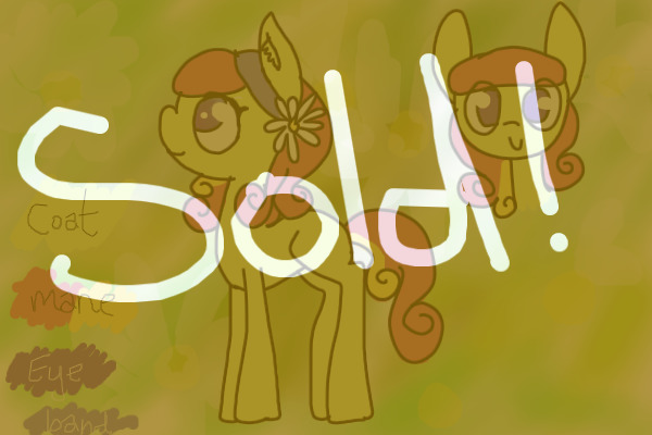 pony #20